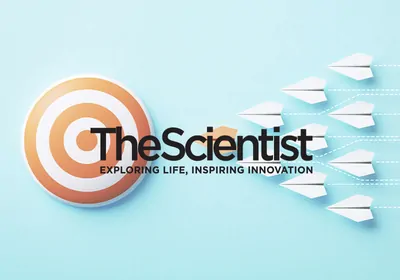 Transforming Molecular Tools into Precision Oncology